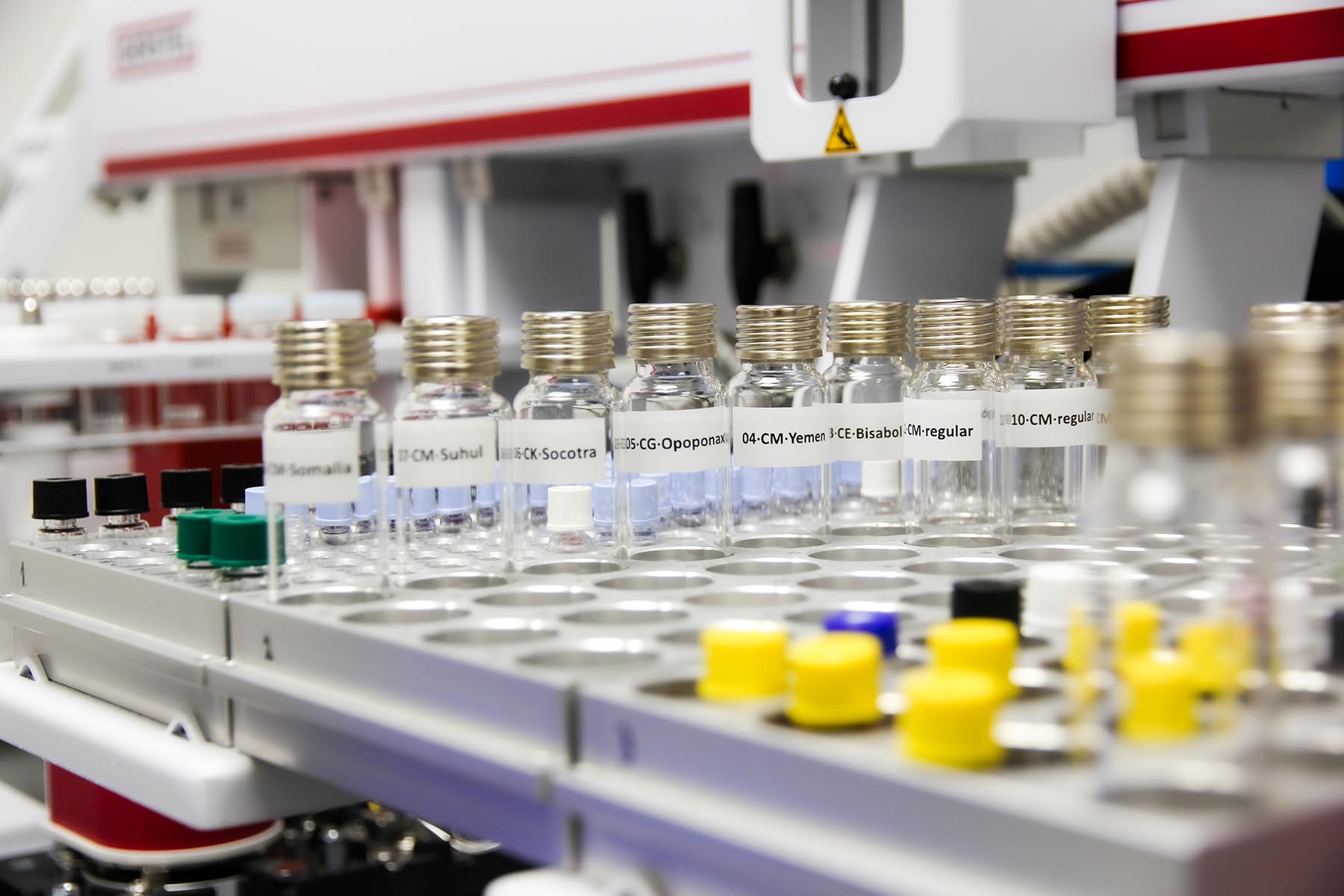 Ancient "myrrh" candidates are sampled for analysis by Dr Jan Rezek using GCxGC-MS. At the Institute of Experimental Botany, Czech Academy of sciences. Photo by Jan Rezek.
